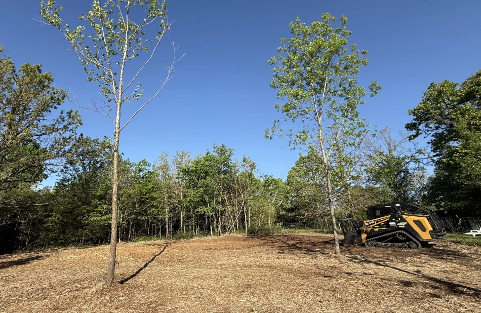 Large Scale Land Clearing Buffalo, MO