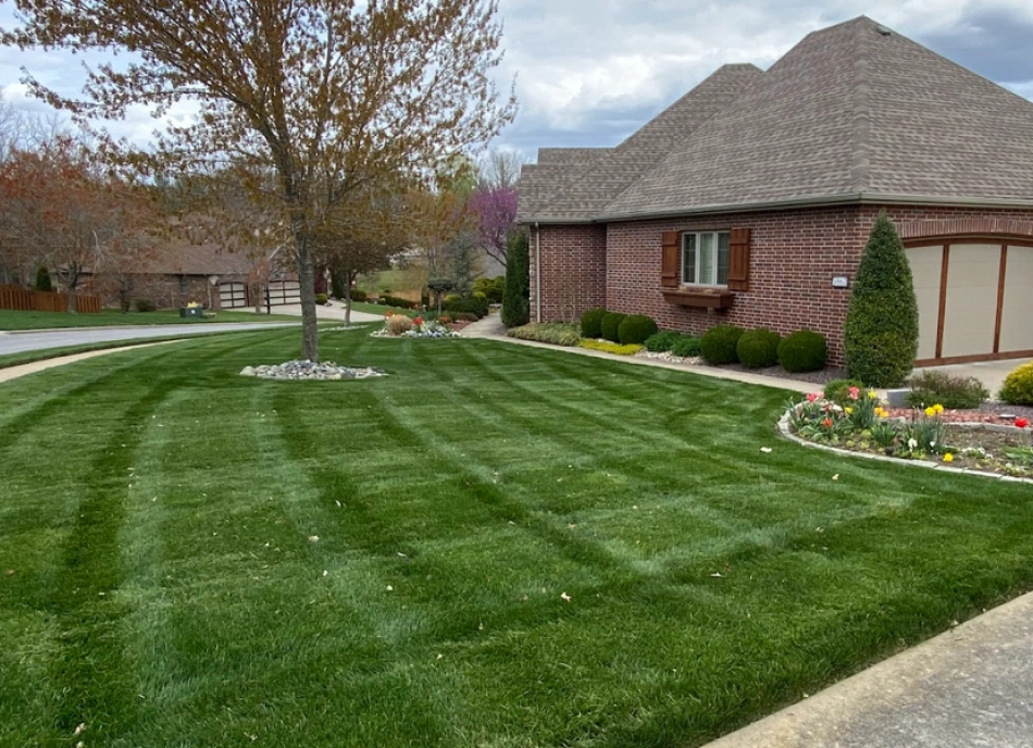 Vegetation Management & Overgrowth Control Buffalo, MO